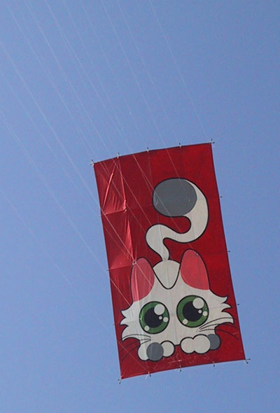 Our first Edo kite, 17 lines, what a nightmare...